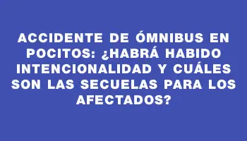 Accidente de ómnibus en Pocitos: ¿habrá habido intencionalidad y cuáles son las secuelas para los afectados?