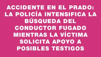 Accidente en el Prado: La Policía intensifica la búsqueda del conductor fugado mientras la víctima solicita apoyo a posibles testigos