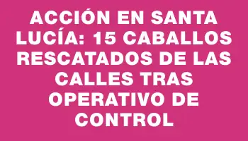 Acción en Santa Lucía: 15 caballos rescatados de las calles tras operativo de control