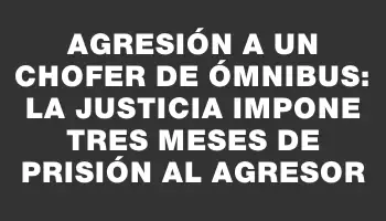 Agresión a un chofer de ómnibus: la Justicia impone tres meses de prisión al agresor