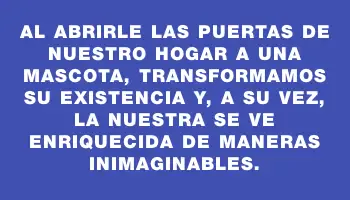 Al abrirle las puertas de nuestro hogar a una mascota, transformamos su existencia y, a su vez, la nuestra se ve enriquecida de maneras inimaginables.