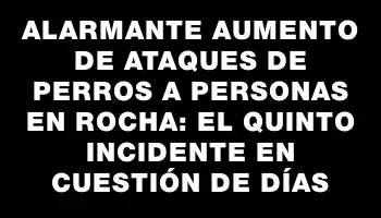 Alarmante aumento de ataques de perros a personas en Rocha: el quinto incidente en cuestión de días