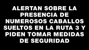 Alertan sobre la presencia de numerosos caballos sueltos en la ruta 3 y piden tomar medidas de seguridad