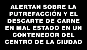 Alertan sobre la putrefacción y el descarte de carne en mal estado en un contenedor del centro de la ciudad