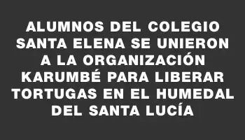 Alumnos del Colegio Santa Elena se unieron a la Organización Karumbé para liberar tortugas en el humedal del Santa Lucía