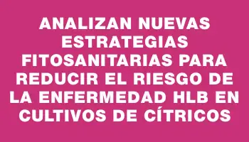 Analizan nuevas estrategias fitosanitarias para reducir el riesgo de la enfermedad Hlb en cultivos de cítricos