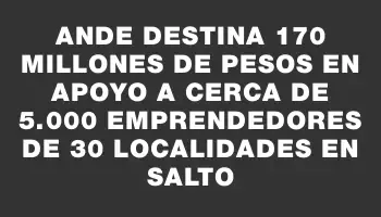 Ande destina 170 millones de pesos en apoyo a cerca de 5.000 emprendedores de 30 localidades en Salto