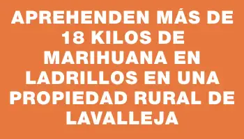 Aprehenden más de 18 kilos de marihuana en ladrillos en una propiedad rural de Lavalleja