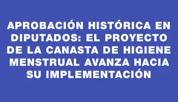 Aprobación histórica en Diputados: el proyecto de la Canasta de Higiene Menstrual avanza hacia su implementación