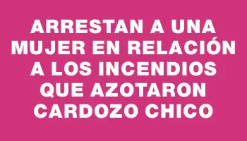 Arrestan a una mujer en relación a los incendios que azotaron Cardozo Chico
