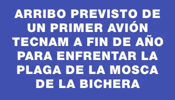 Arribo previsto de un primer avión Tecnam a fin de año para enfrentar la plaga de la mosca de la bichera