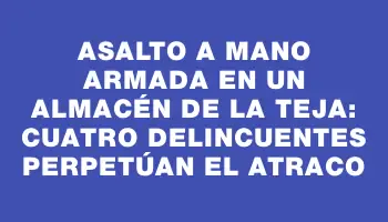 Asalto a mano armada en un almacén de La Teja: cuatro delincuentes perpetúan el atraco