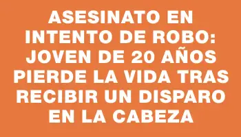 Asesinato en intento de robo: joven de 20 años pierde la vida tras recibir un disparo en la cabeza