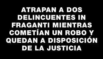 Atrapan a dos delincuentes in fraganti mientras cometían un robo y quedan a disposición de la justicia