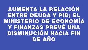 Aumenta la relación entre deuda y Pib; el Ministerio de Economía y Finanzas prevé una disminución hacia fin de año