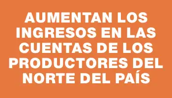 Aumentan los ingresos en las cuentas de los productores del norte del país