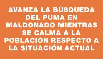 Avanza la búsqueda del puma en Maldonado mientras se calma a la población respecto a la situación actual