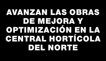 Avanzan las obras de mejora y optimización en la Central Hortícola del Norte