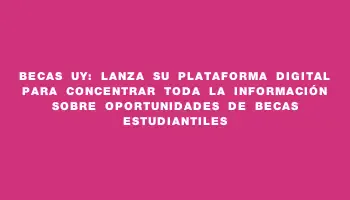 Becas Uy: lanza su plataforma digital para concentrar toda la información sobre oportunidades de becas estudiantiles