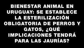 Bienestar Animal en Uruguay: Se Establece la Esterilización Obligatoria de Perros y Gatos, ¿Qué Implicaciones Tendrá para las Jaurías?