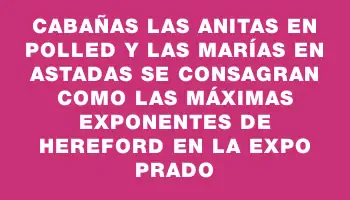 Cabañas Las Anitas en Polled y Las Marías en astadas se consagran como las máximas exponentes de Hereford en la Expo Prado