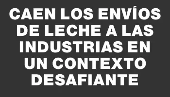 Caen los envíos de leche a las industrias en un contexto desafiante