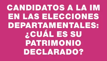 Candidatos a la Im en las elecciones departamentales: ¿Cuál es su patrimonio declarado?
