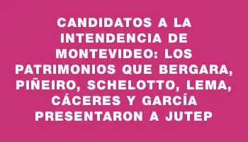 Candidatos a la Intendencia de Montevideo: Los patrimonios que Bergara, Piñeiro, Schelotto, Lema, Cáceres y García presentaron a Jutep