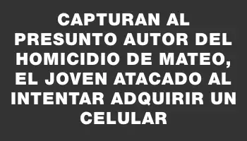 Capturan al presunto autor del homicidio de Mateo, el joven atacado al intentar adquirir un celular