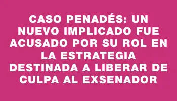 Caso Penadés: un nuevo implicado fue acusado por su rol en la estrategia destinada a liberar de culpa al exsenador