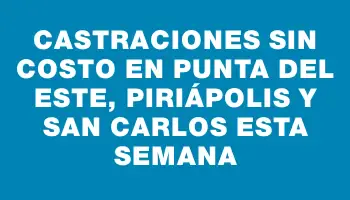 Castraciones sin costo en Punta del Este, Piriápolis y San Carlos esta semana