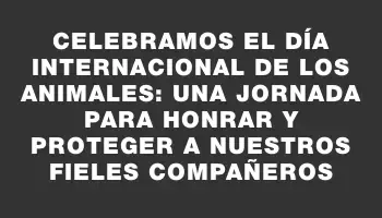 Celebramos el Día Internacional de los Animales: una jornada para honrar y proteger a nuestros fieles compañeros