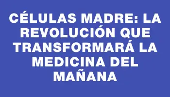 Células madre: La revolución que transformará la medicina del mañana