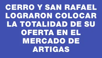 Cerro y San Rafael lograron colocar la totalidad de su oferta en el mercado de Artigas