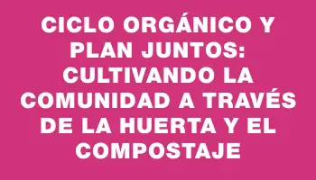 Ciclo Orgánico y Plan Juntos: cultivando la comunidad a través de la huerta y el compostaje