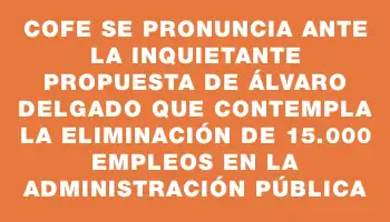 Cofe se pronuncia ante la inquietante propuesta de Álvaro Delgado que contempla la eliminación de 15.000 empleos en la administración pública