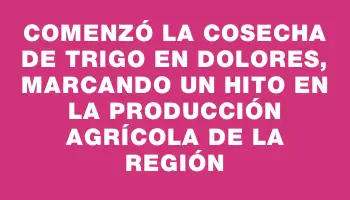 Comenzó la cosecha de trigo en Dolores, marcando un hito en la producción agrícola de la región