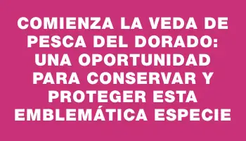 Comienza la veda de pesca del dorado: una oportunidad para conservar y proteger esta emblemática especie