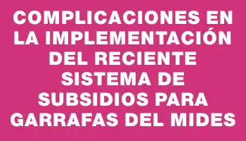 Complicaciones en la implementación del reciente sistema de subsidios para garrafas del Mides