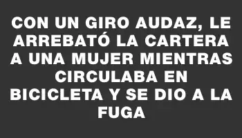 Con un giro audaz, le arrebató la cartera a una mujer mientras circulaba en bicicleta y se dio a la fuga