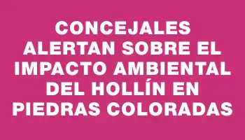 Concejales alertan sobre el impacto ambiental del hollín en Piedras Coloradas