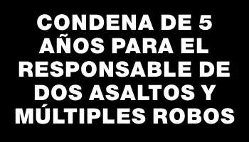 Condena de 5 años para el responsable de dos asaltos y múltiples robos