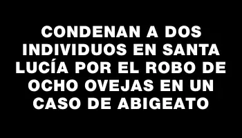 Condenan a dos individuos en Santa Lucía por el robo de ocho ovejas en un caso de abigeato