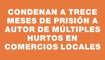 Condenan a trece meses de prisión a autor de múltiples hurtos en comercios locales