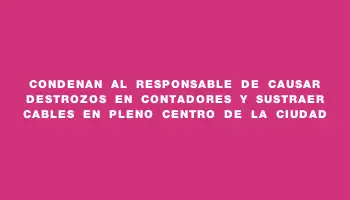 Condenan al responsable de causar destrozos en contadores y sustraer cables en pleno centro de la ciudad