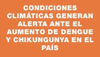 Condiciones climáticas generan alerta ante el aumento de dengue y chikungunya en el país