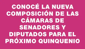 Conocé la nueva composición de las cámaras de Senadores y Diputados para el próximo quinquenio