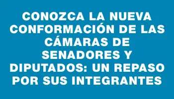 Conozca la nueva conformación de las cámaras de Senadores y Diputados: un repaso por sus integrantes