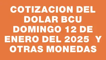 Cotizacion del dolar Bcu Domingo 12 de enero del 2025  y otras monedas