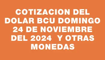 Cotizacion del dolar Bcu Domingo 24 de noviembre del 2024  y otras monedas